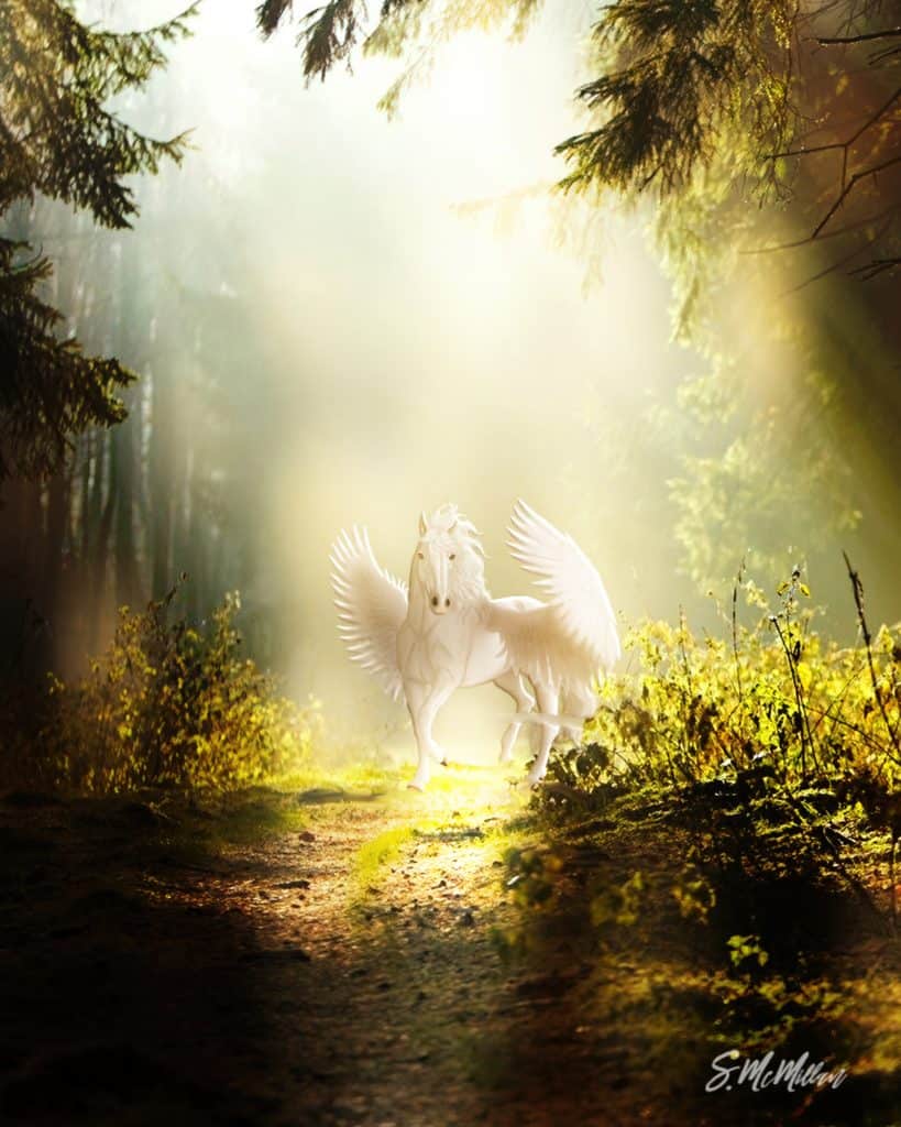 Pegasus - Susanne McMillan Art