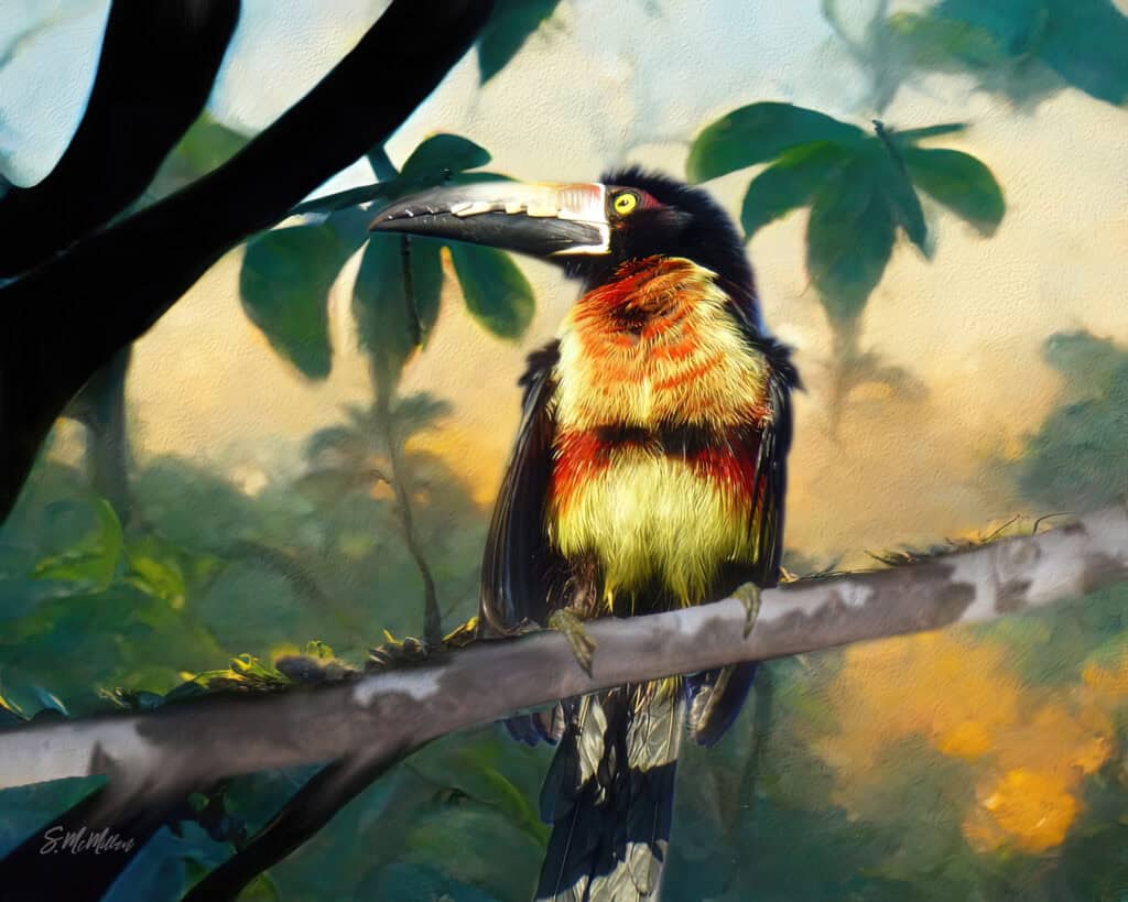 Belizean Art - by Susanne McMillan Art