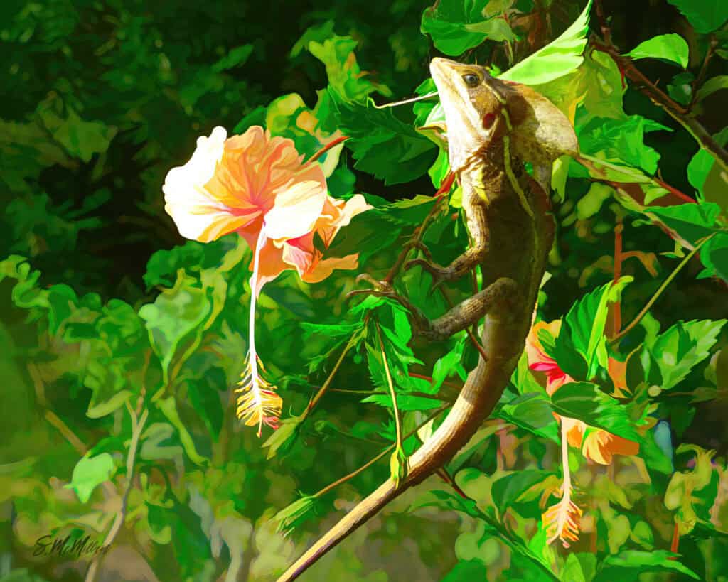 Belizean Art - Basilisk by Susanne McMillan Art