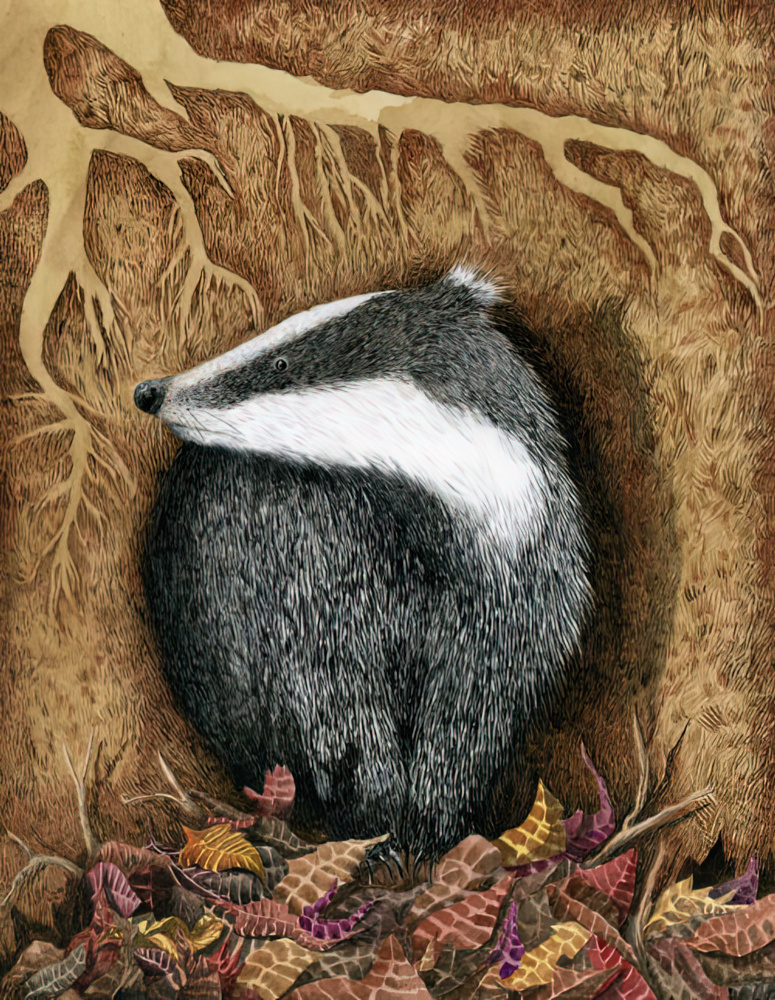 Badger illustration gigapixel art height 1000px